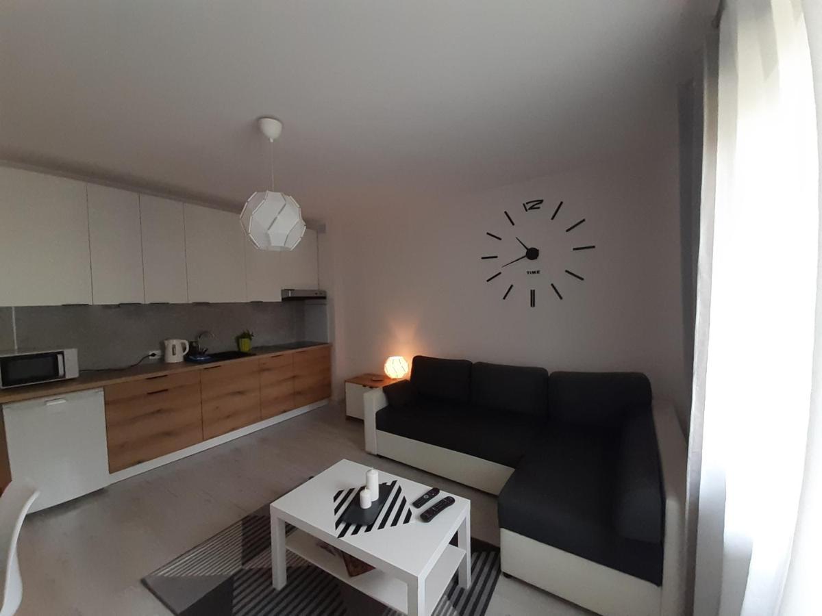 Lewa Apartment Lodz (Lodz)